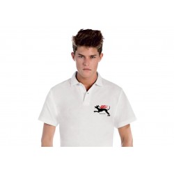 Polo (S-M-L-XL-XXL) ordine...