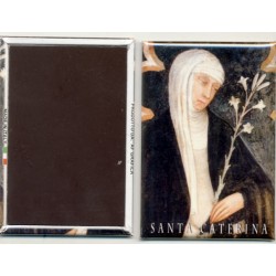 Magnete Santa Caterina da...